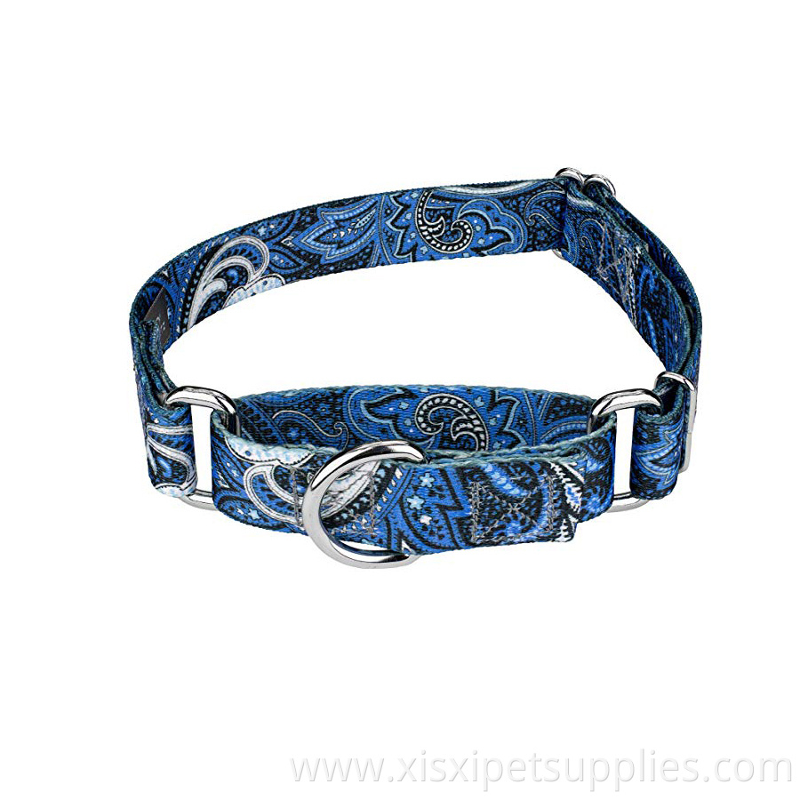 best selling Sublimation Printing Martingale Dog Collar